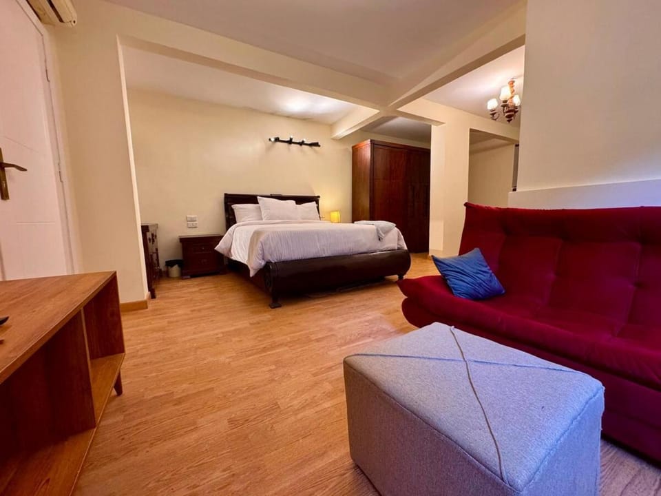 Bed, Living room, Photo of the whole room, Seating area, Bedroom