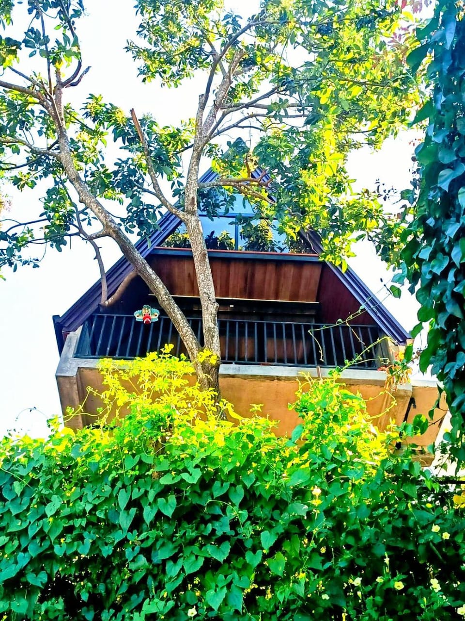 Property building, Garden, Garden view