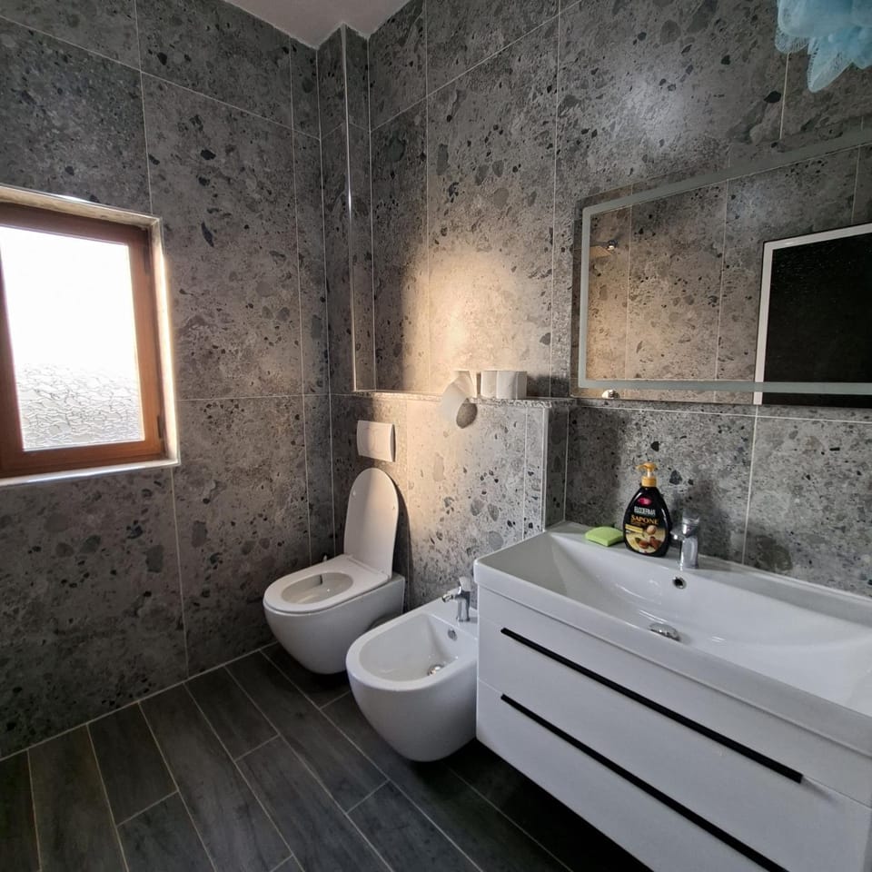 Shower, Toilet, Bathroom, bidet