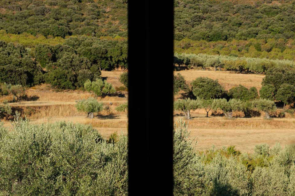 View (from property/room), Garden view