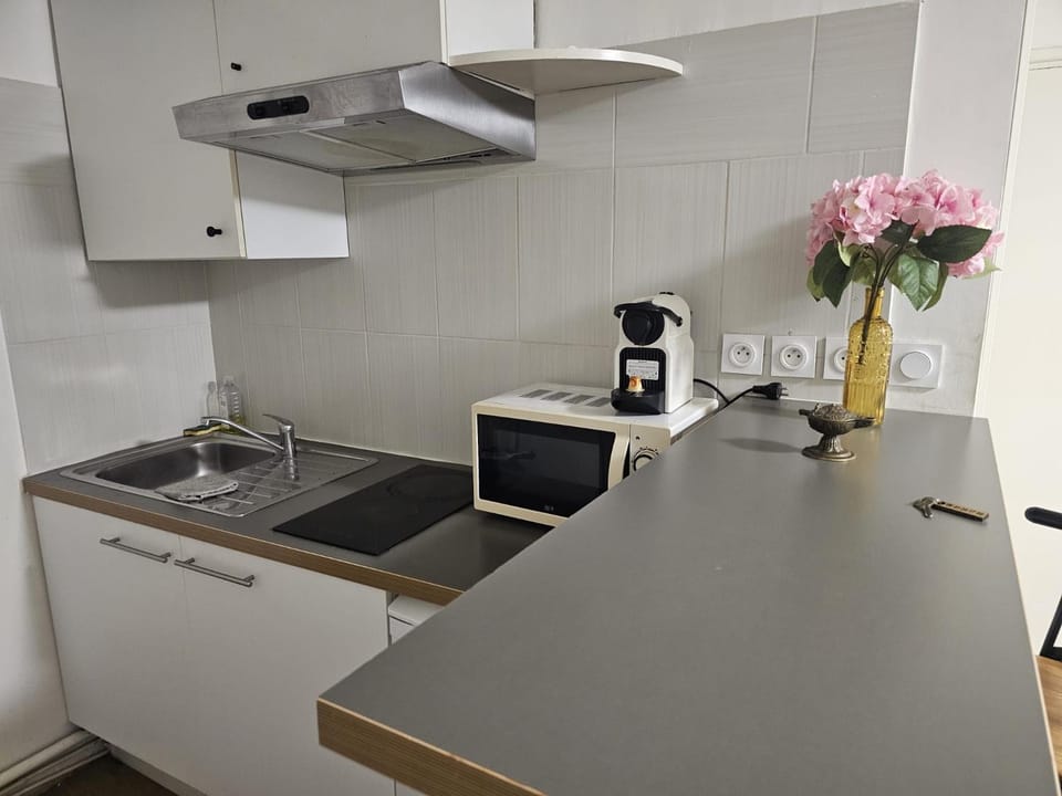 Le studio de Verdier 1 Apartment in Toulouse