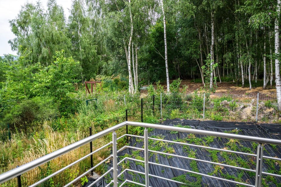 Apartament Koralowa Wzgórze Apartment in Lower Silesian Voivodeship