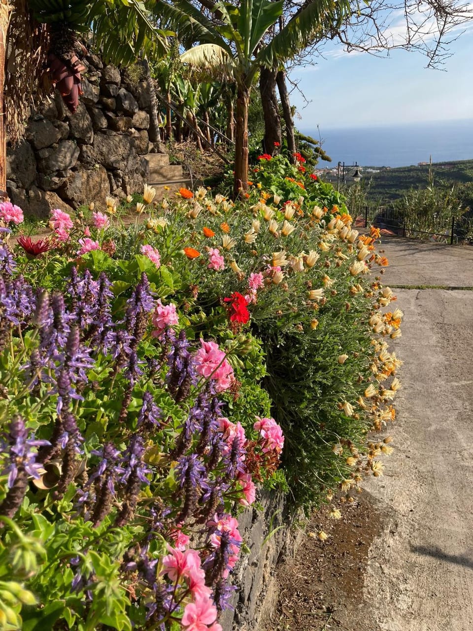 Natural landscape, Garden