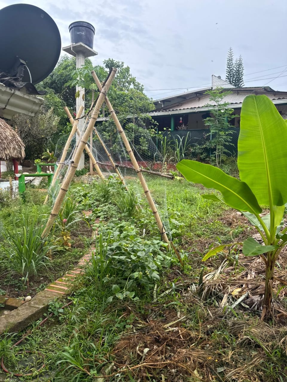 Greengoat Haven Bed and Breakfast in Magdalena, Colombia