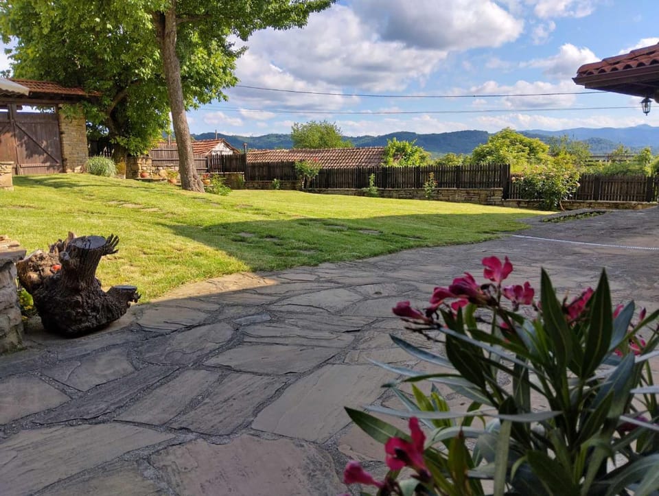Garden view