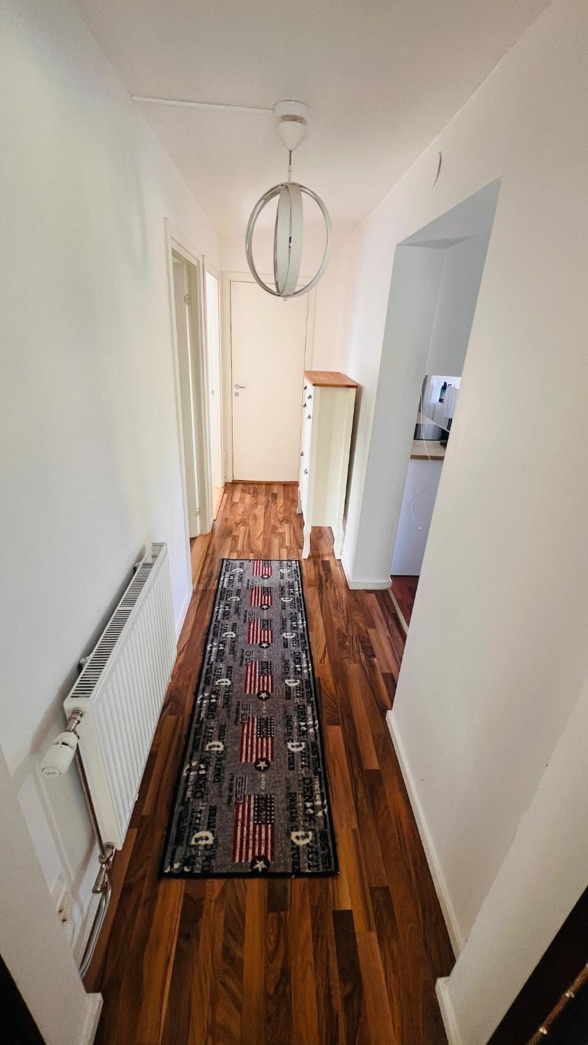 internet
