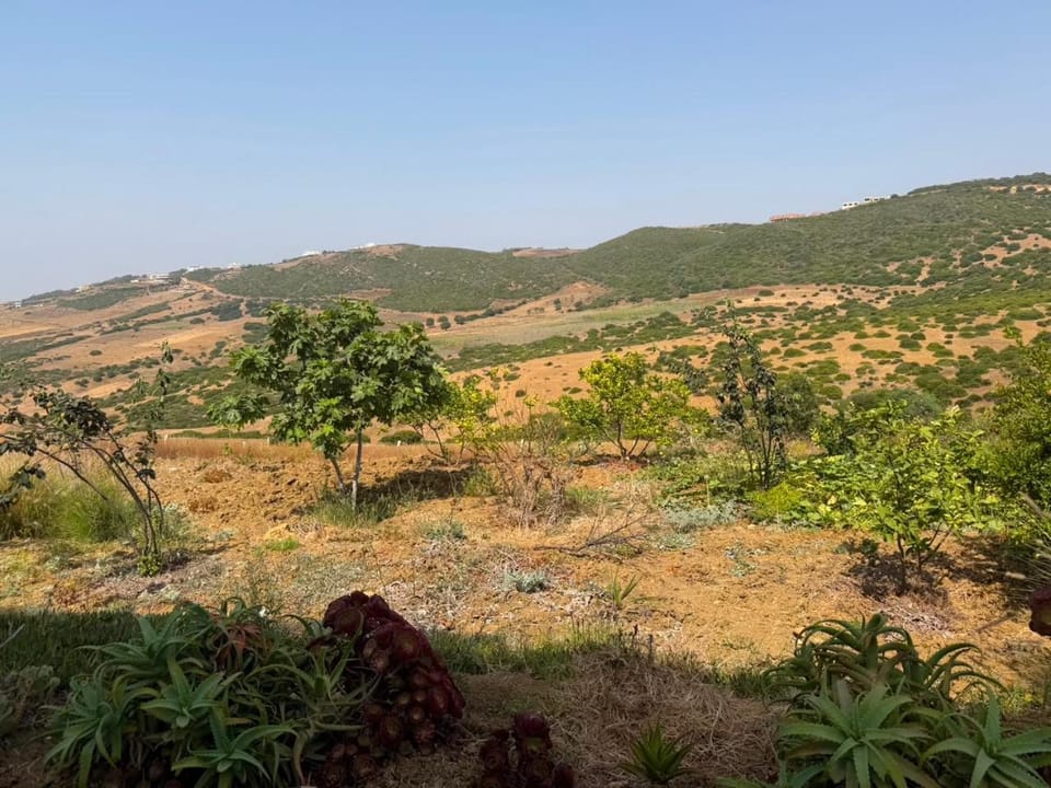 Natural landscape, Mountain view