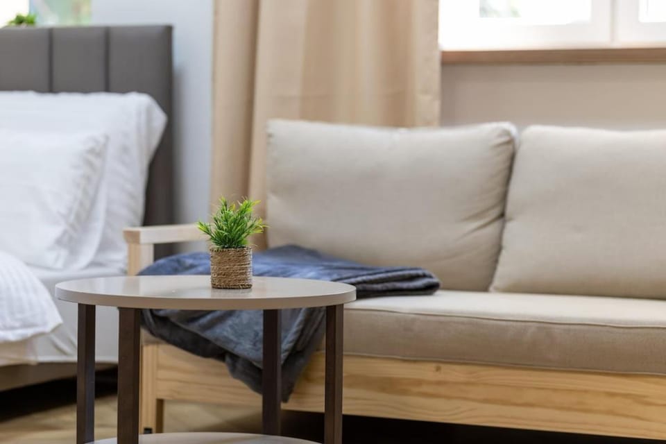 Bed, Living room, Photo of the whole room, Seating area, Bedroom