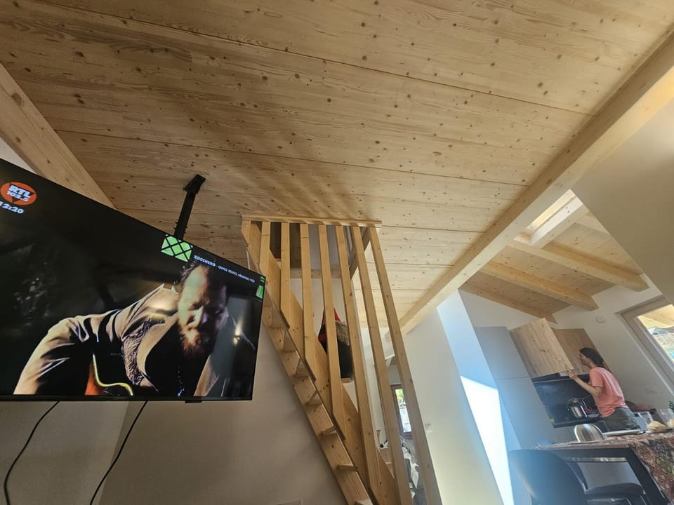 TV and multimedia
