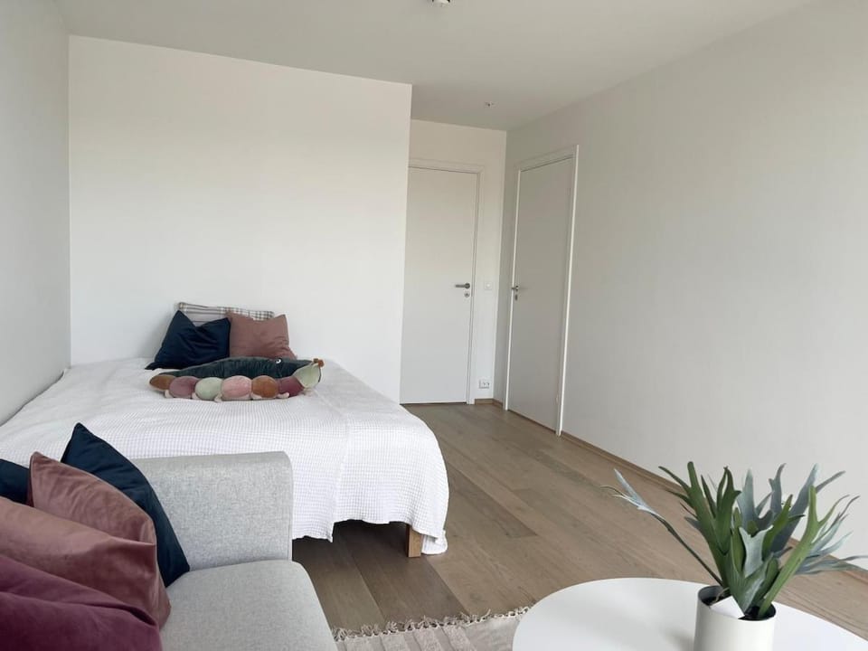 Bryggebyen Apartment in Norway