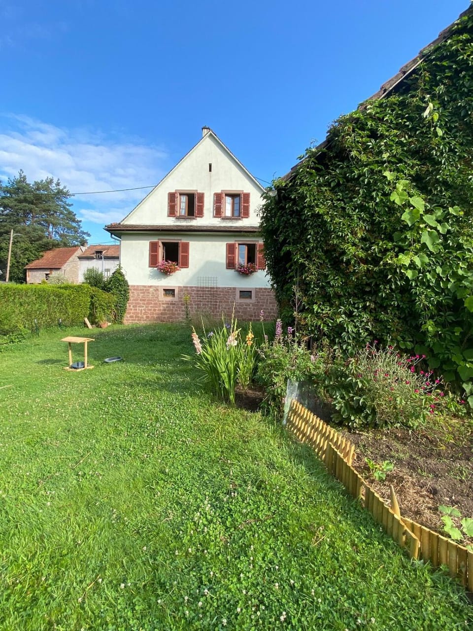 Natural landscape, Garden, Garden view
