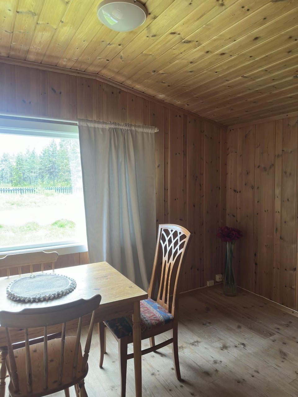 Mountain idyll in Tisleidalen - skiing, hiking and fishing Apartment in Viken, Norway