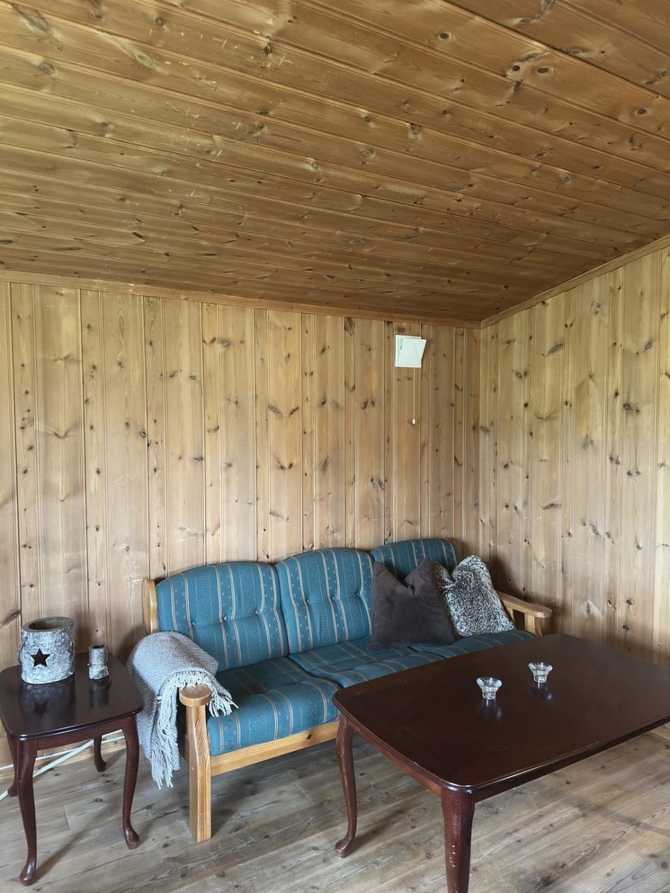 Mountain idyll in Tisleidalen - skiing, hiking and fishing Apartment in Viken, Norway