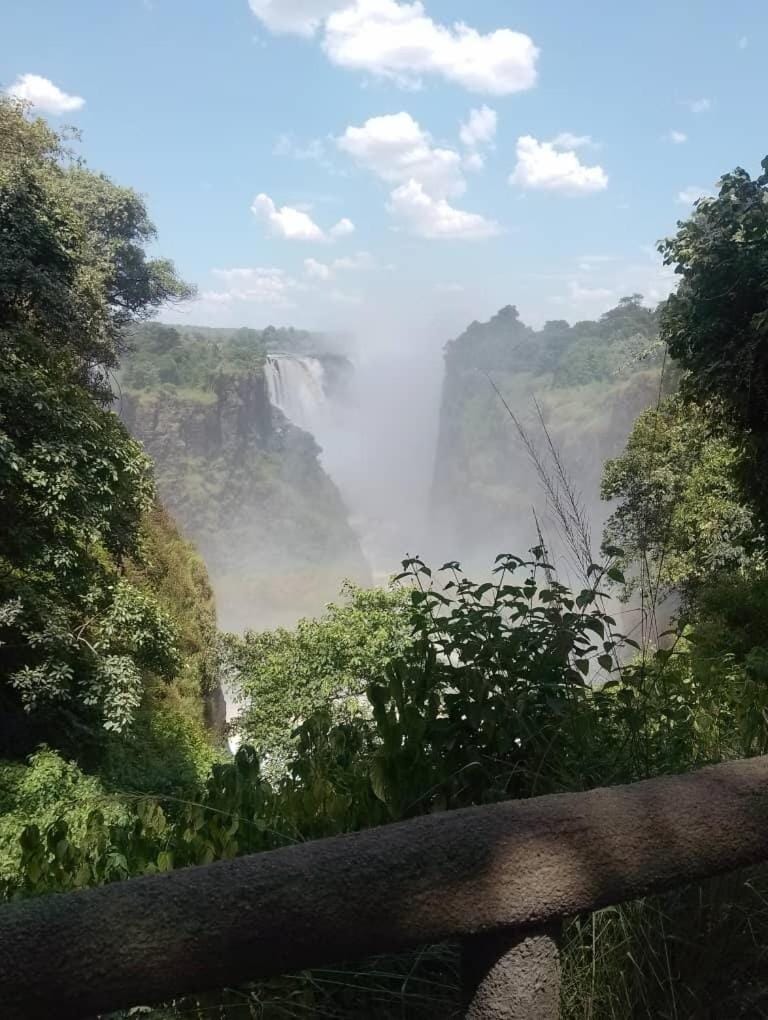 Palmeiras 964 House in Zimbabwe