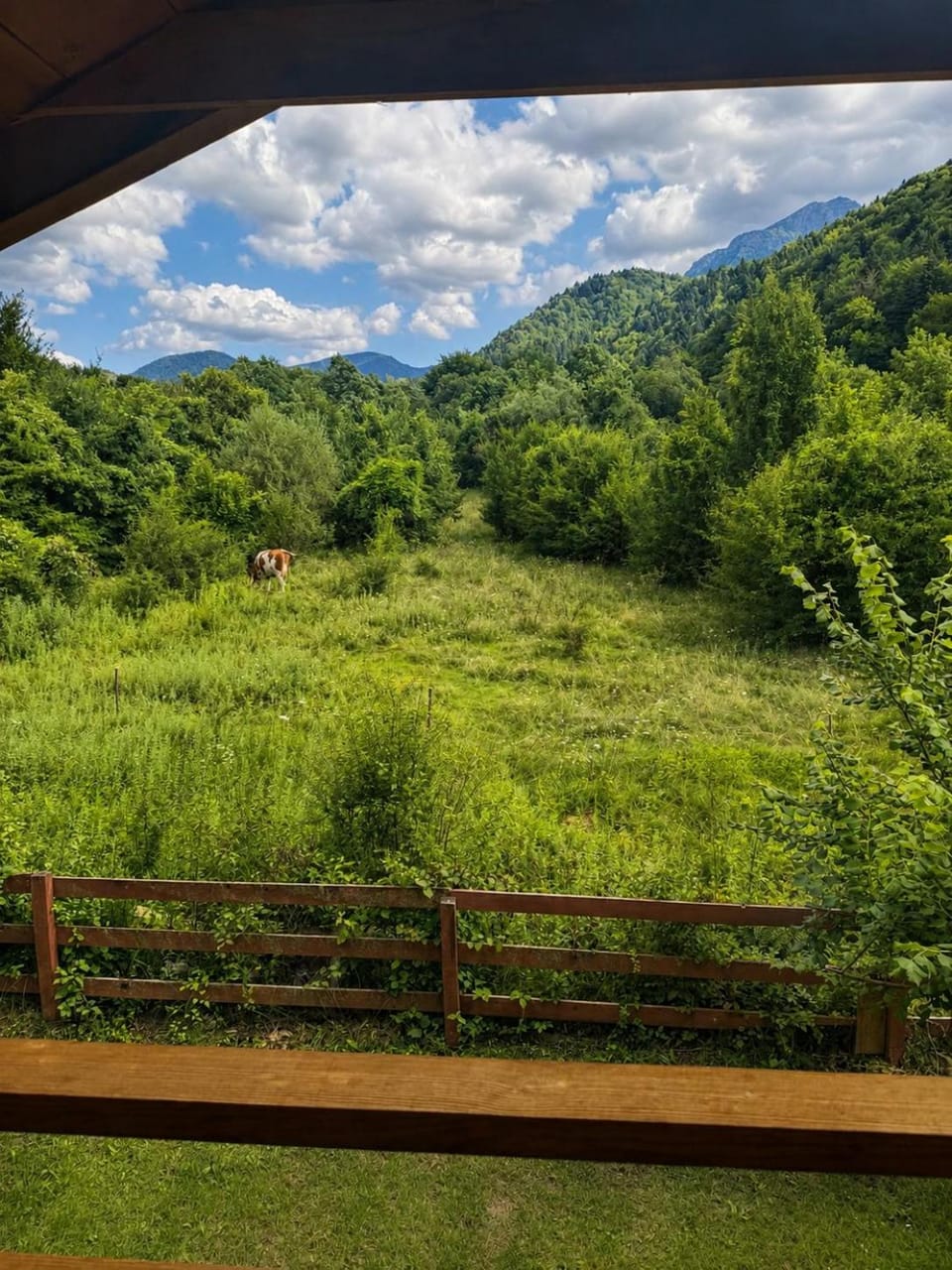 Natural landscape
