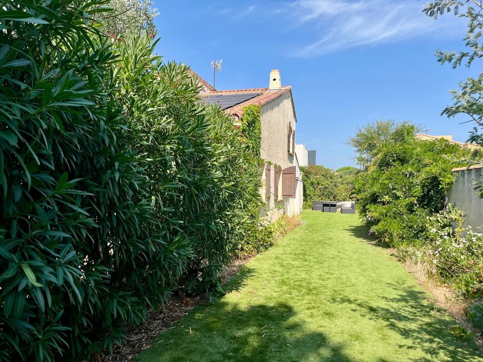 Day, Natural landscape, Garden view