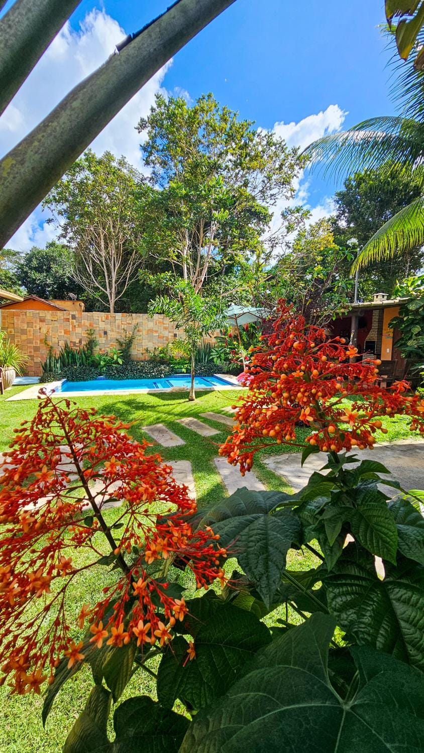 Day, Natural landscape, Garden, Garden view, Pool view, Swimming pool