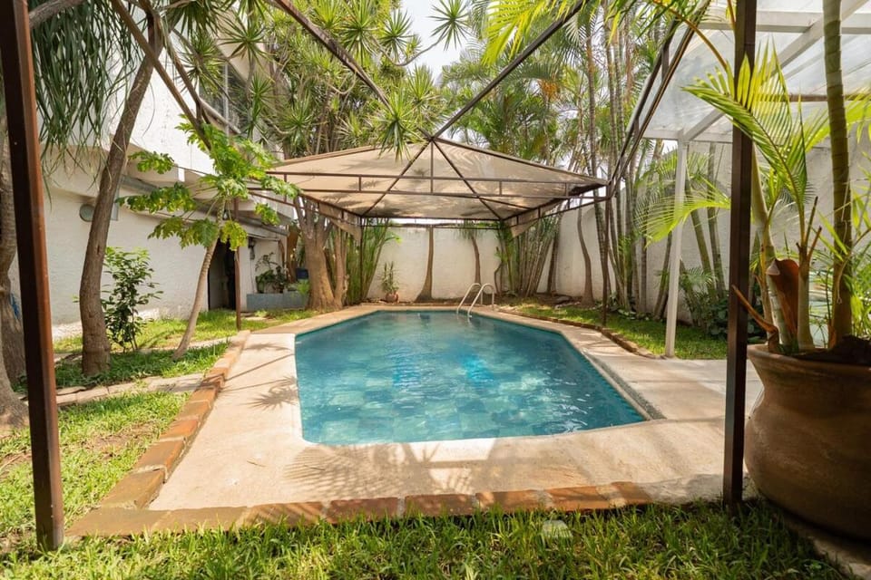 Garden, Swimming pool