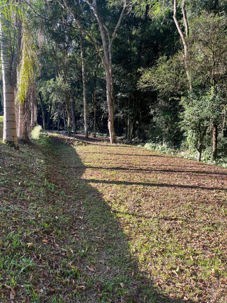 Ruhehaus Campground/ 
RV Resort in State of Santa Catarina