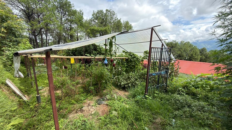 Sarada Agrotourism & Research Center Farm Stay in Bagmati Province, Nepal