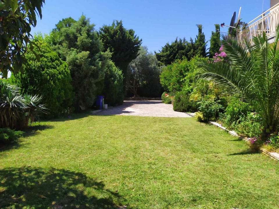 Spring, Day, Natural landscape, Garden, Garden view, Area and facilities