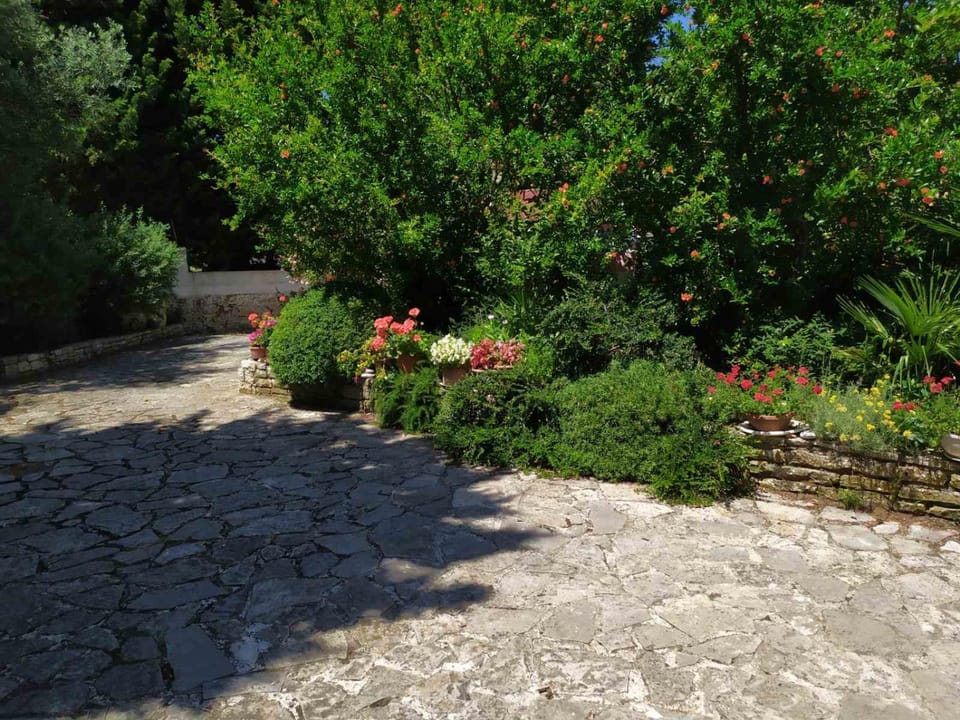 Spring, Garden, On site, Garden view