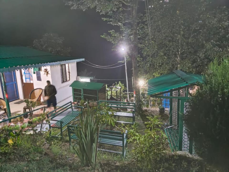 Property building, Night, Garden