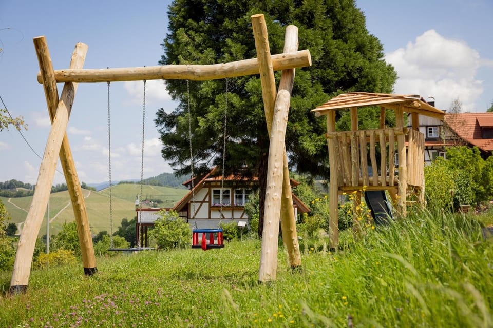 Children play ground