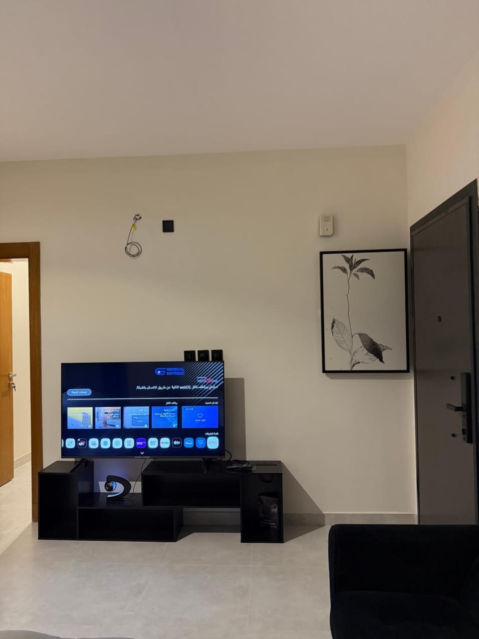 TV and multimedia