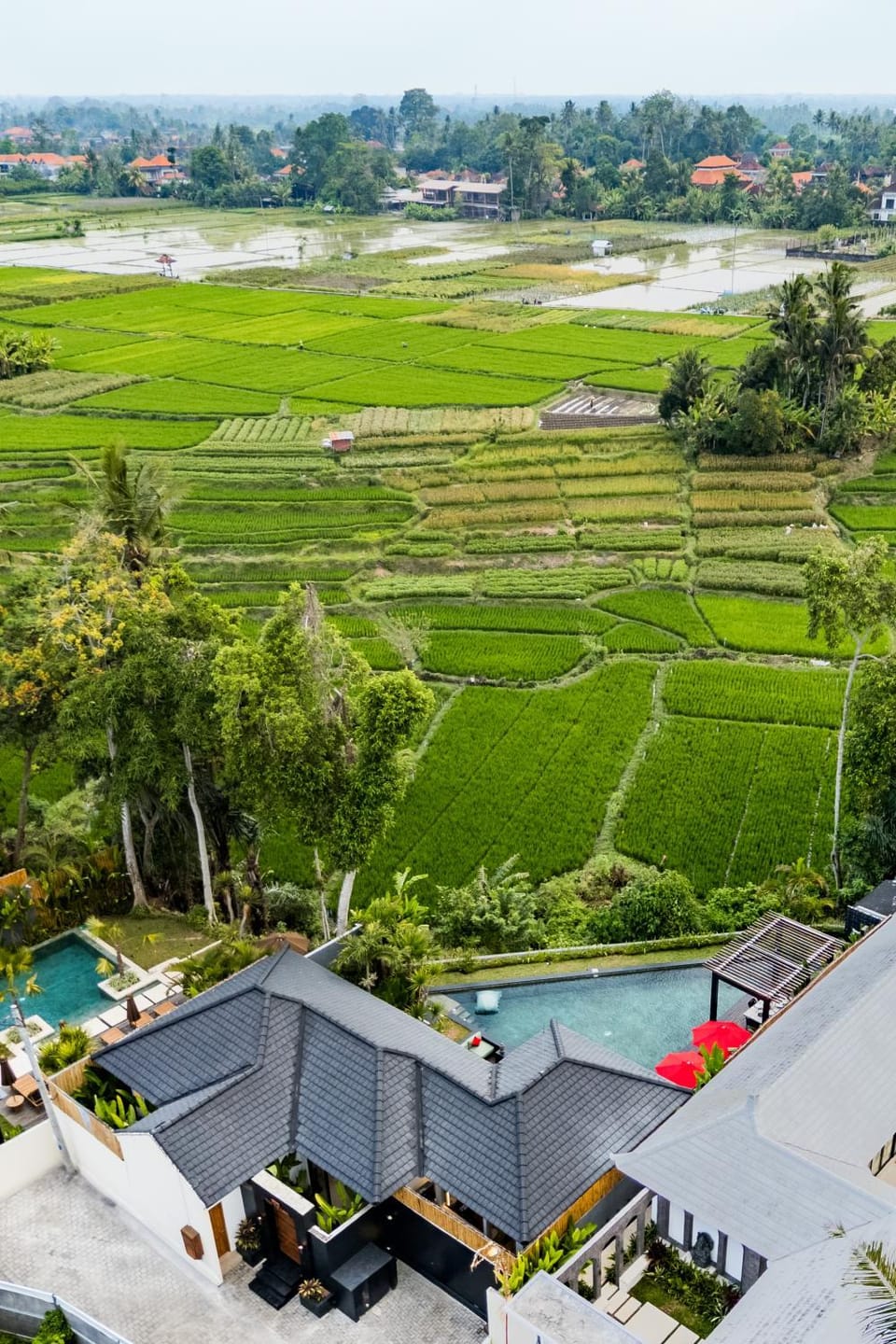 Natural landscape, Garden, Pool view, Swimming pool