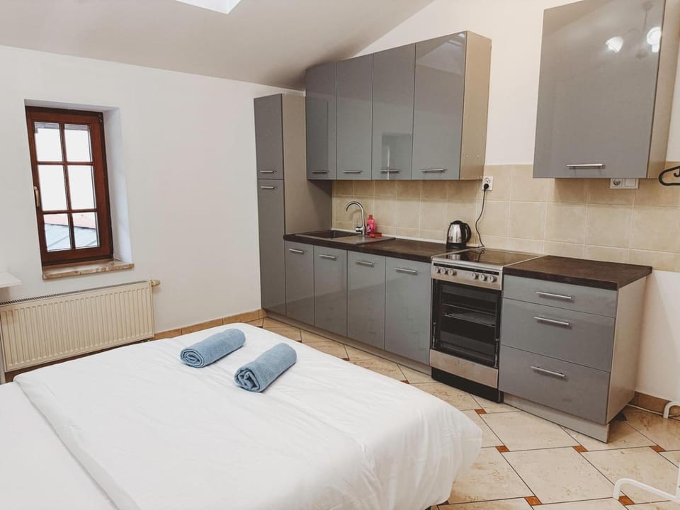Fantastic-Inn Kraków - B7 Pokój D411 Apartment in Krakow