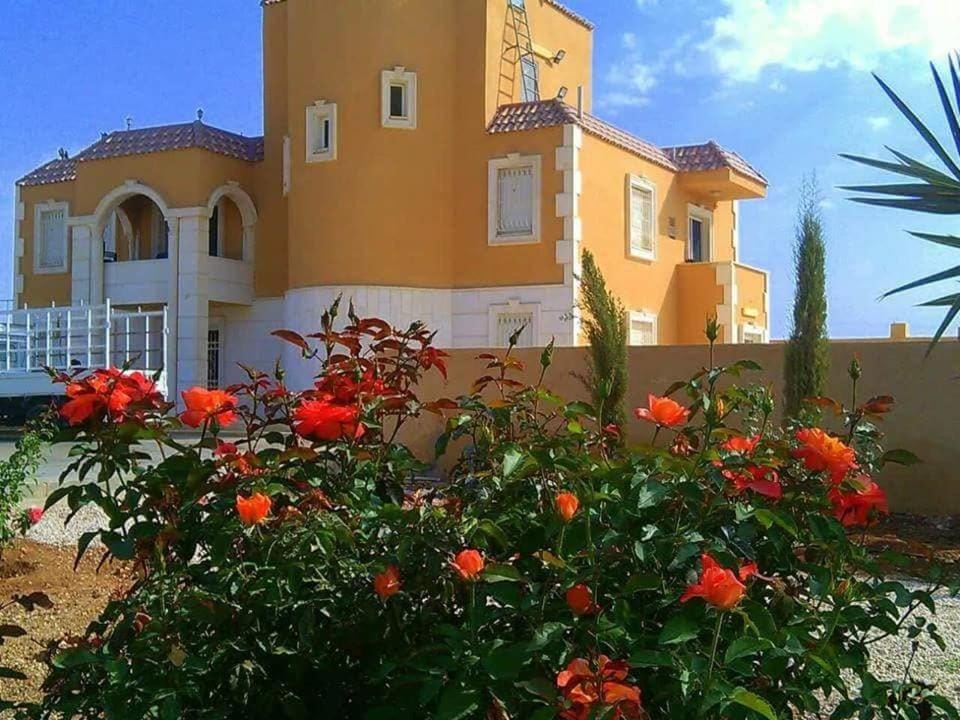 Al Amriya Palace for Luxury Events Villa in Africa