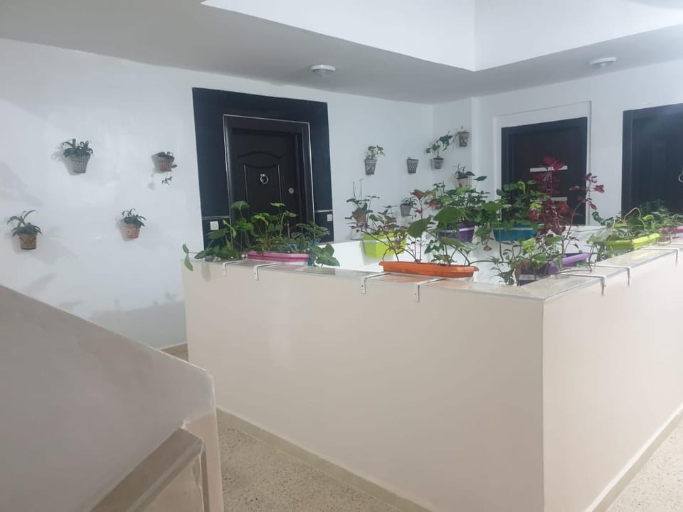 Appart Cosy Apartment in Tangier-Tétouan-Al Hoceima