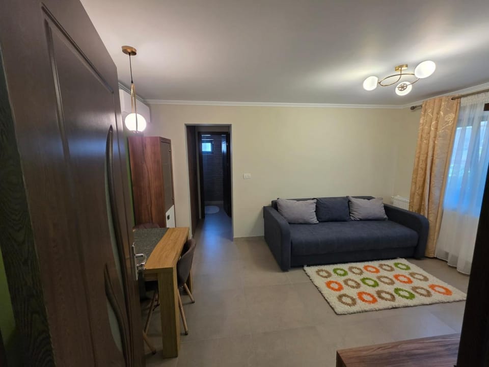 Tilia Home Apartament Apartment in Romania