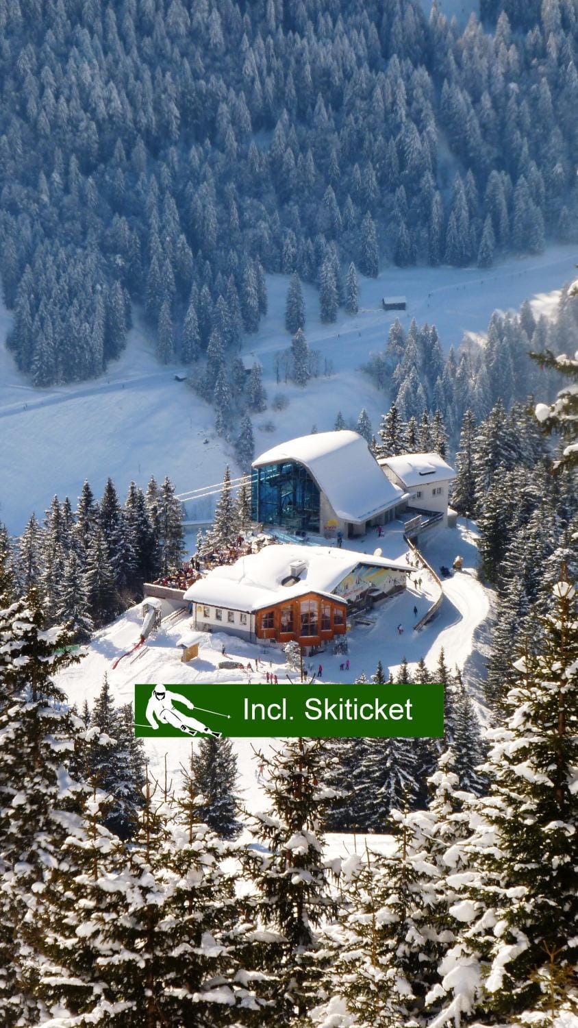 Natural landscape, Bird's eye view, Winter, Skiing, On site