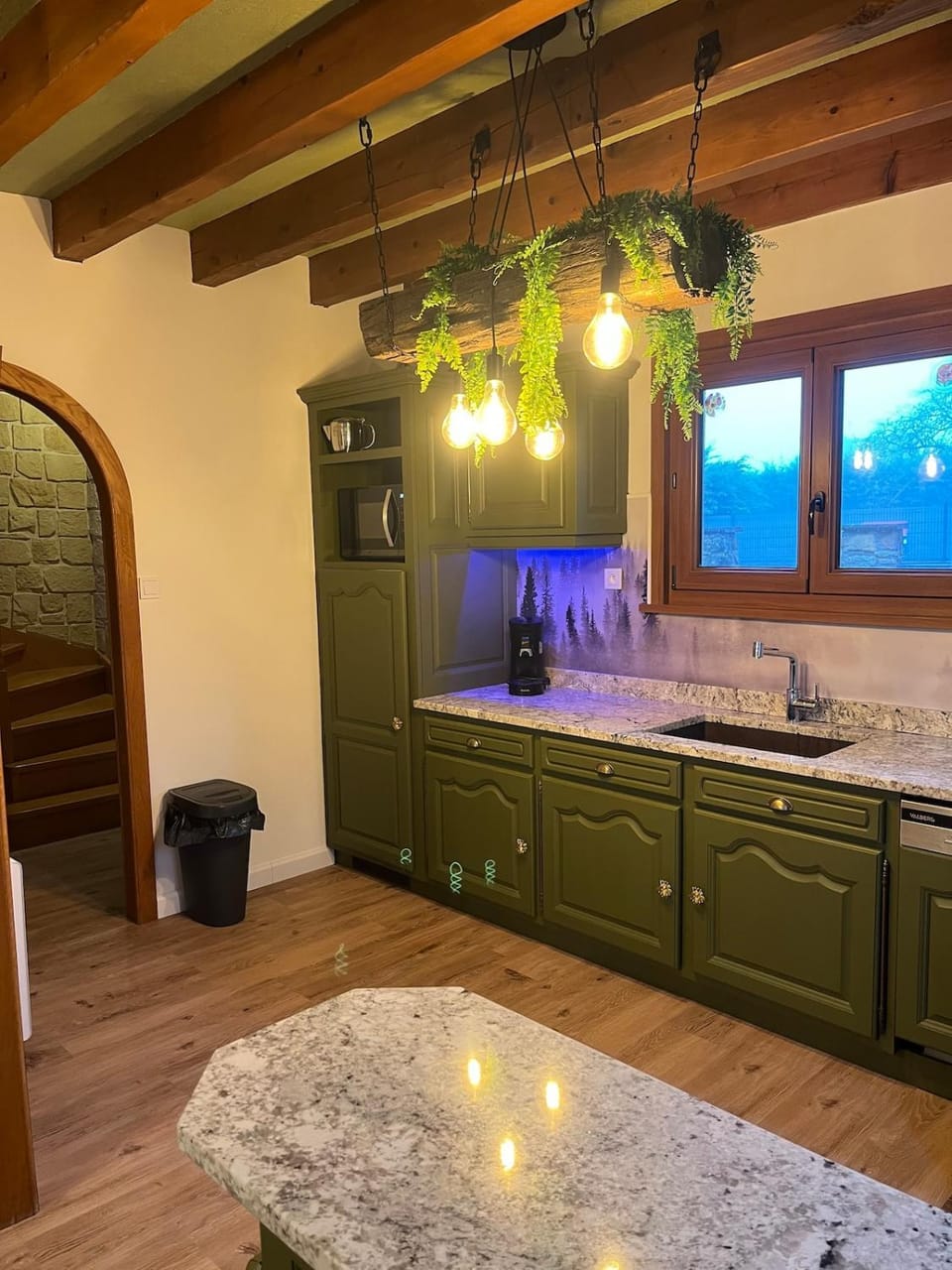 Kitchen or kitchenette, Dining area, microwave