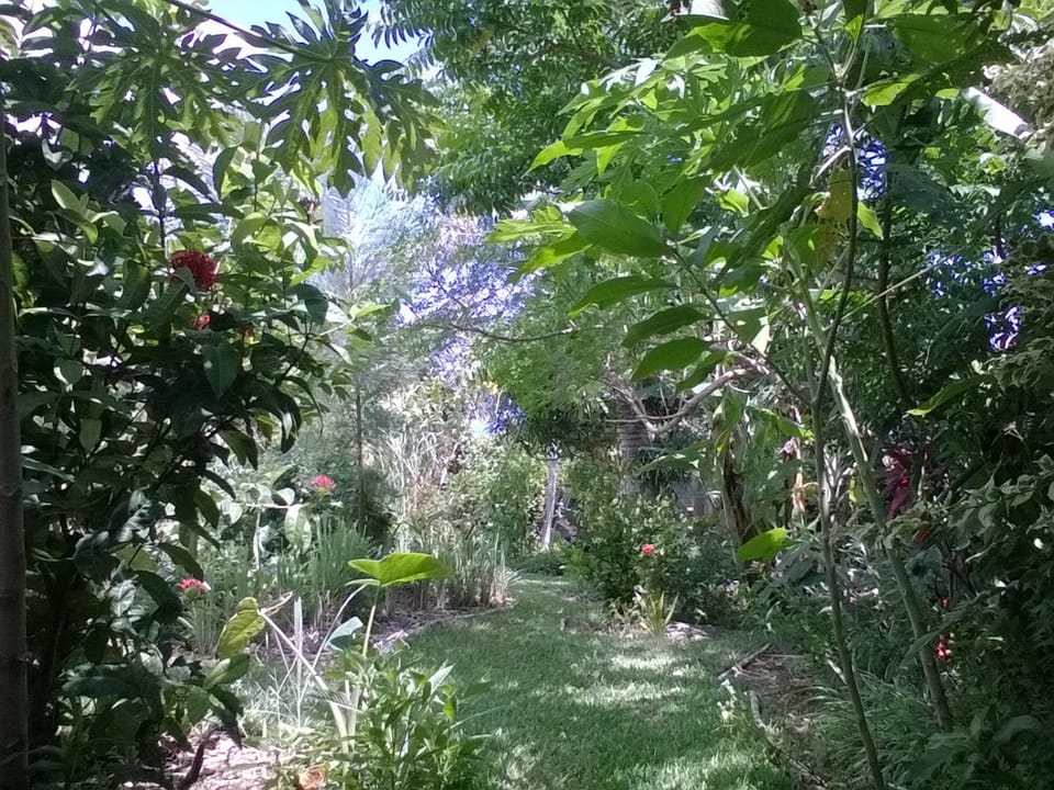 Property building, Garden