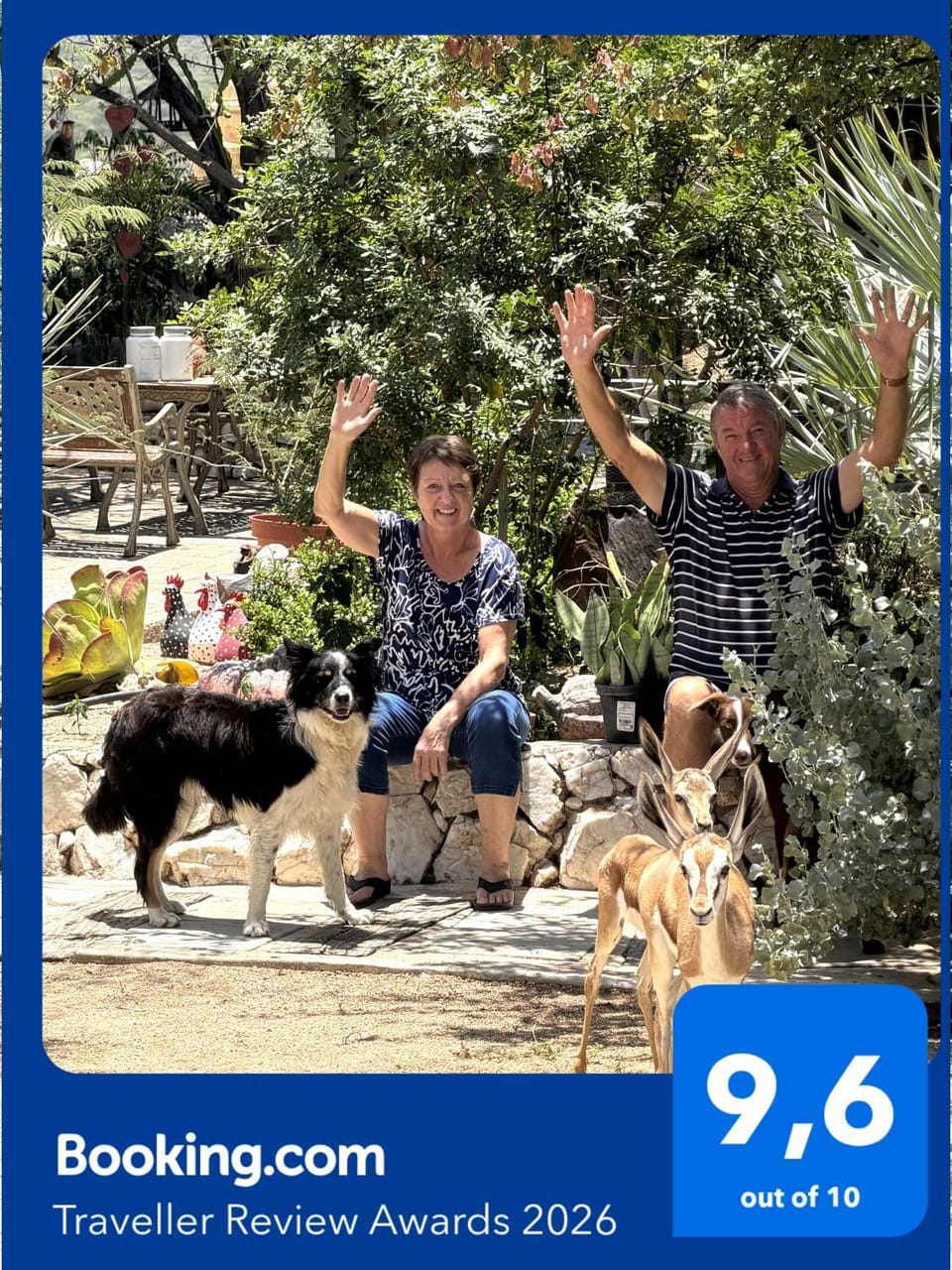 Animals, Animals