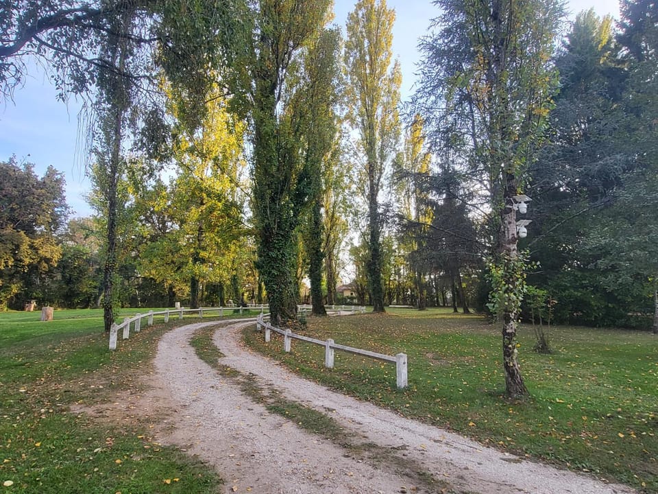Natural landscape, Garden