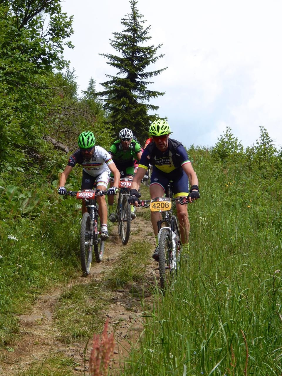 Spring, Summer, Cycling