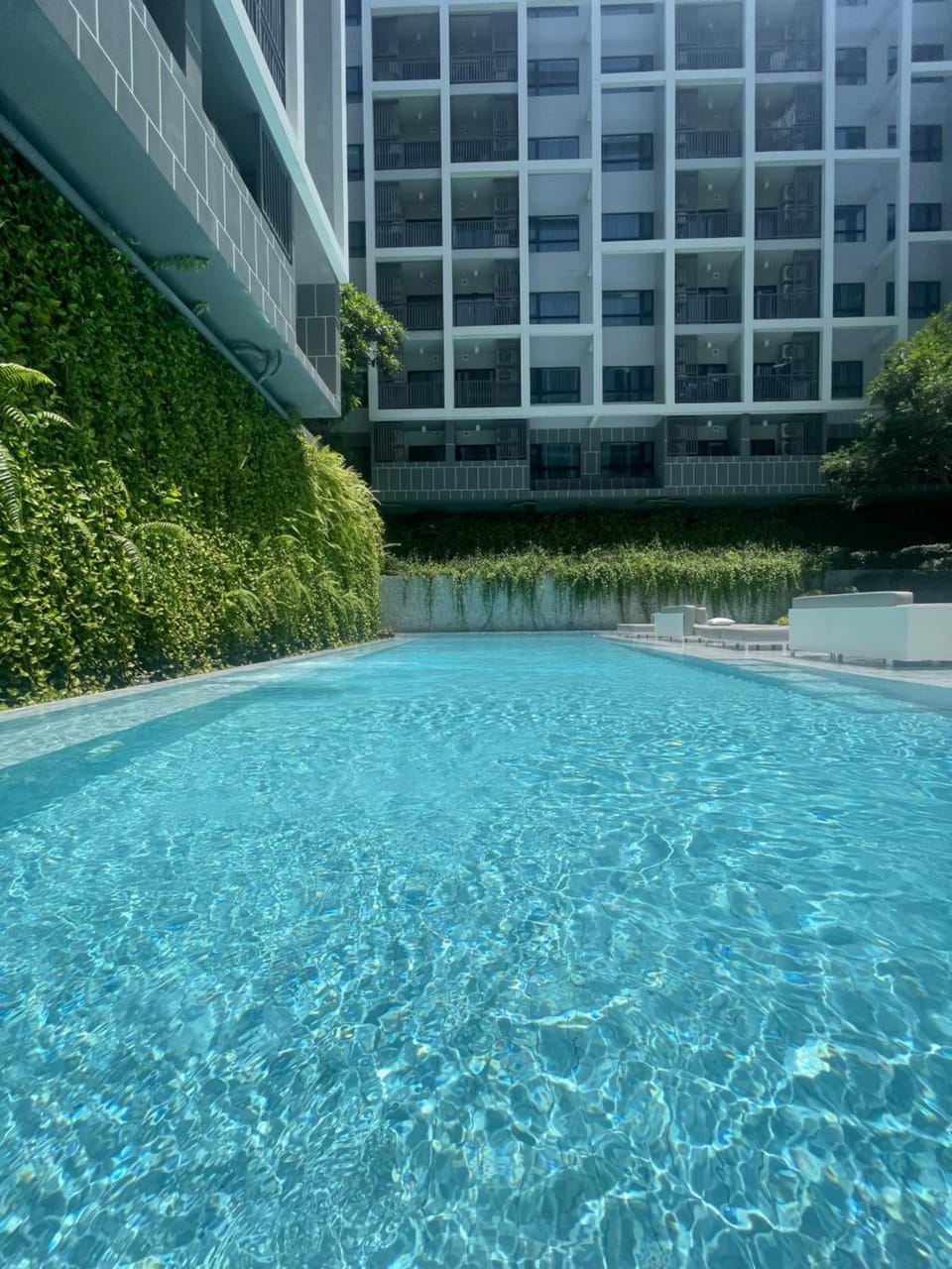 Pool view
