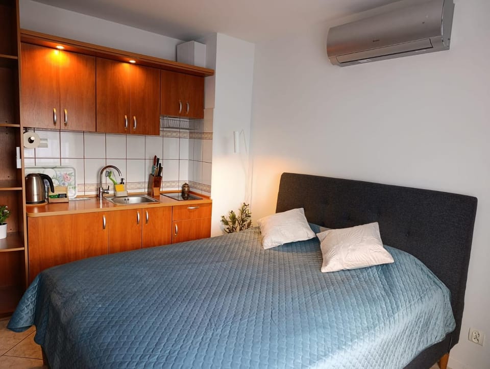 Bed, Kitchen or kitchenette, Photo of the whole room, Bedroom, minibar, stove, air conditioner