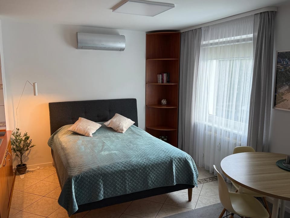 Bed, Photo of the whole room, Bedroom, air conditioner