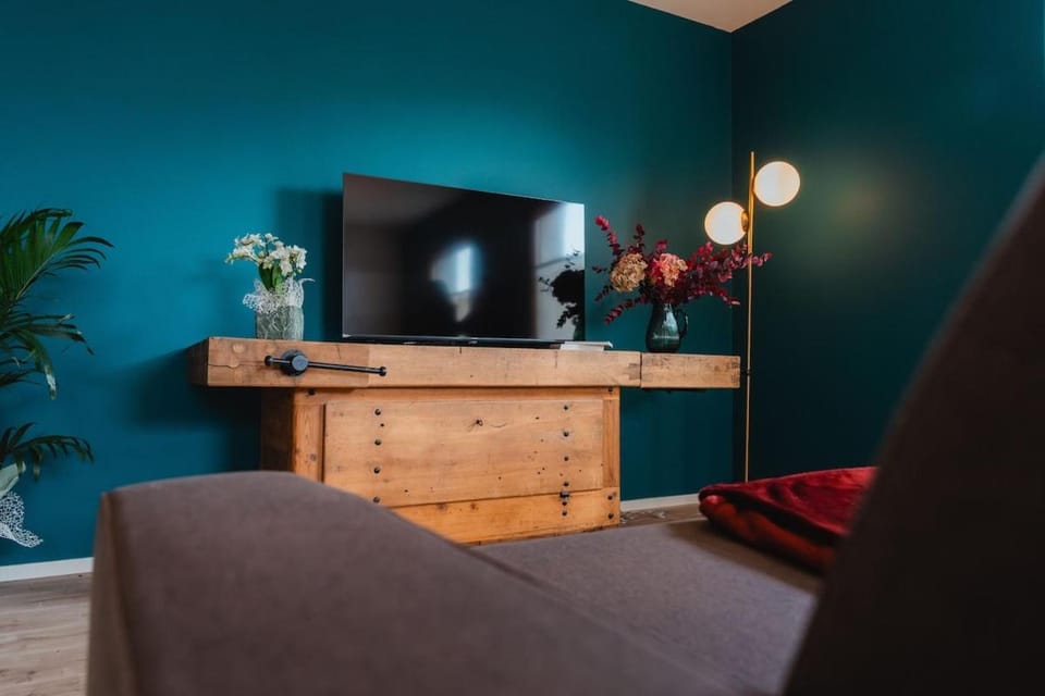 TV and multimedia