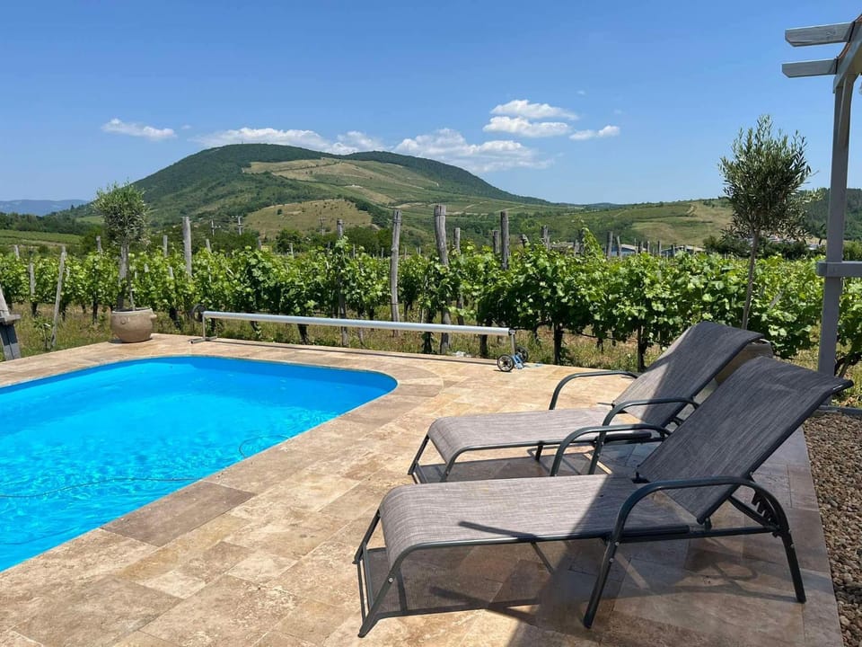 Day, Natural landscape, Balcony/Terrace, Mountain view, Swimming pool, Swimming pool, Open Air Bath, sunbed