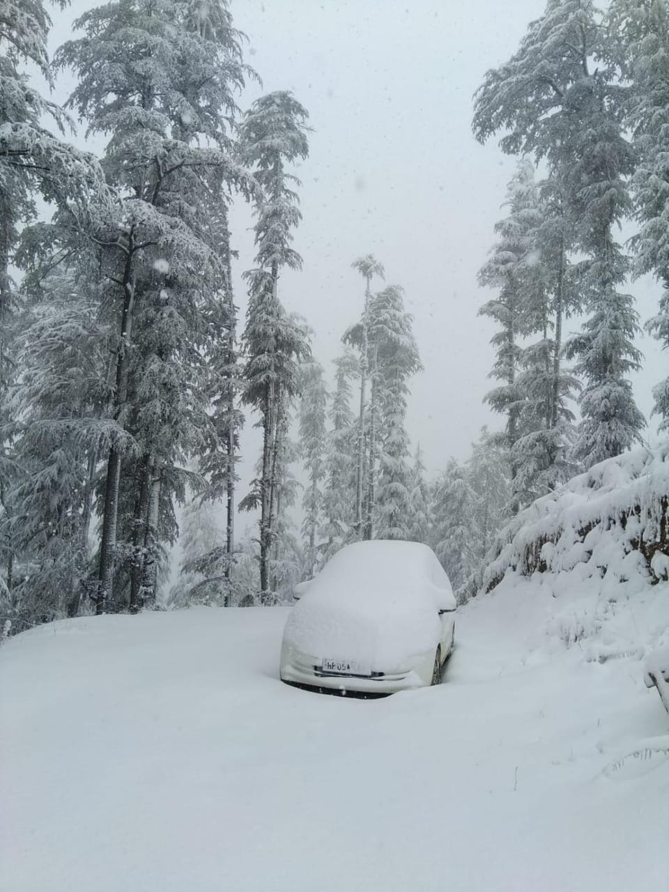 Winter