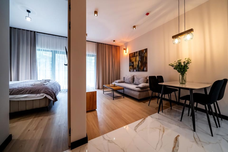 Bed, Living room, Photo of the whole room, Seating area, Bedroom
