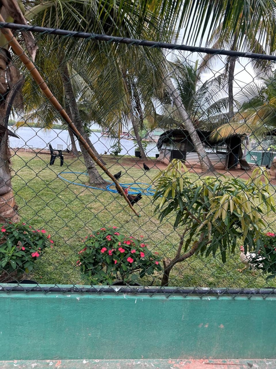 Lagoon View Stay in Negombo Vacation rental in Negombo