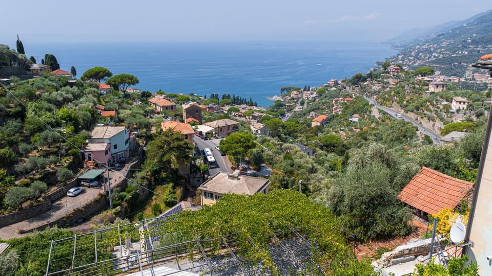 Bird's eye view, Garden view, Garden view, Sea view