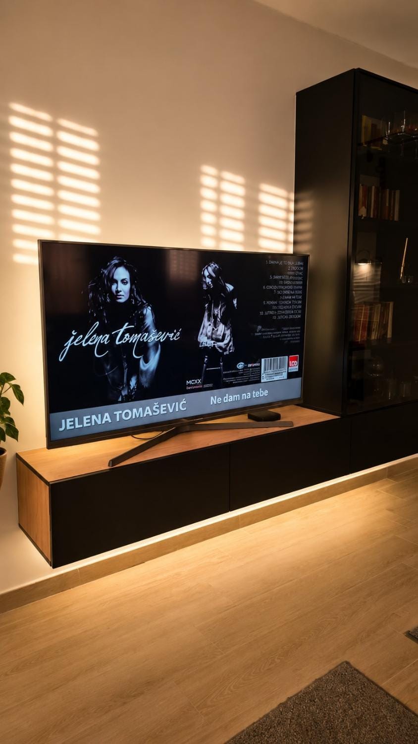 TV and multimedia